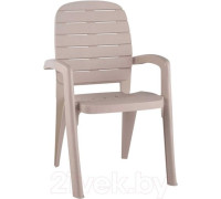 Стул Элластик-Пласт Прованс 58x46.5x90 серо-бежевый