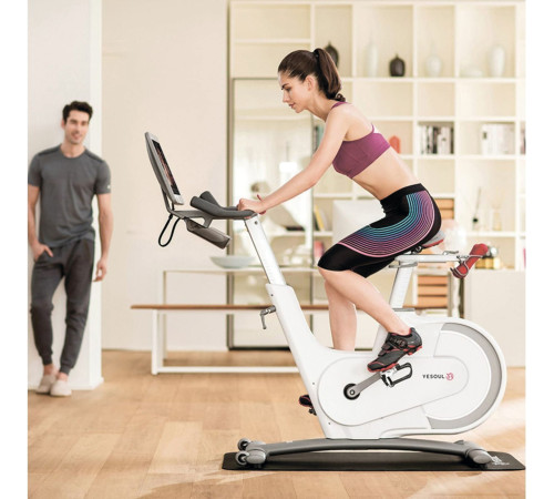 Велотренажер Yesoul BV1-B Plus BV1-W-21.5