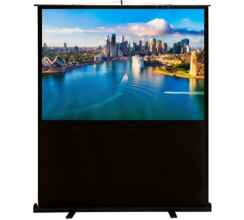 Проекционный экран CACTUS FloorCompactExpert 120x160 CS-PSFLCE-160х120