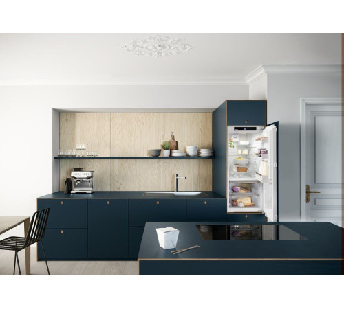 Однокамерный холодильник Liebherr IRBd 4150 Prime