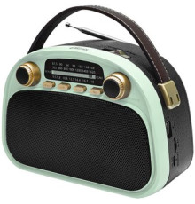 Радиоприемник Ritmix RPR-040 мятный