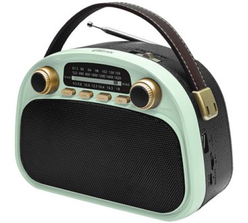 Радиоприемник Ritmix RPR-040 мятный