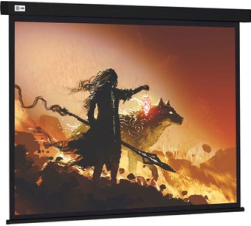 Проекционный экран CACTUS Wallscreen 149x265 CS-PSW-149X265-BK