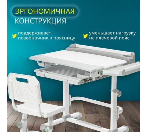 Парта Nika РСП2/С