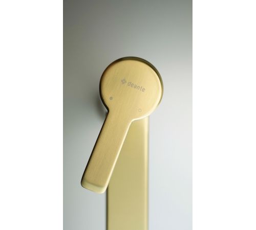 Смеситель Deante Arnika Gold BQA R20N