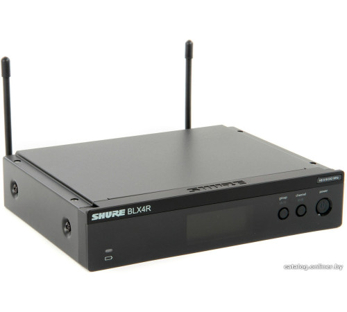Радиосистема Shure BLX24RE/SM58
