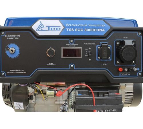 Бензиновый генератор ТСС SGG 8000EHNA