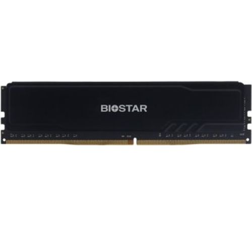 Оперативная память BIOSTAR Storming V 8ГБ DDR4 3200 МГц