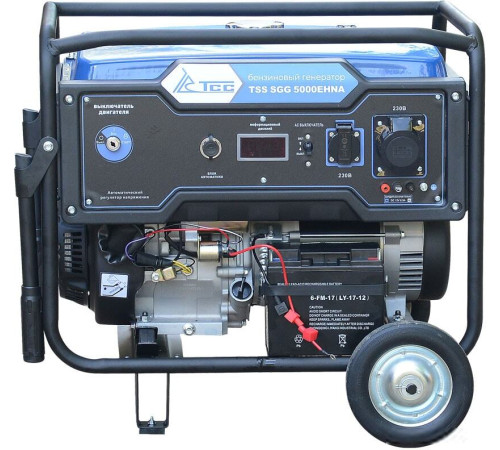 Бензиновый генератор ТСС SGG 5000EHNA