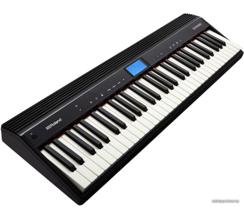 Цифровое пианино Roland Go:Piano GO-61P