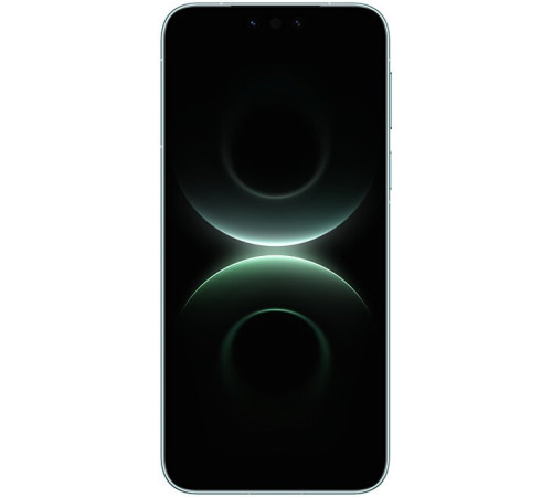 Телефон Huawei Mate 80 Pro SGT-LX9 16GB/512GB зеленый, международная версия