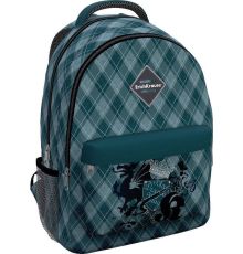 Школьный рюкзак Erich Krause EasyLine 20L Dragon Emblem