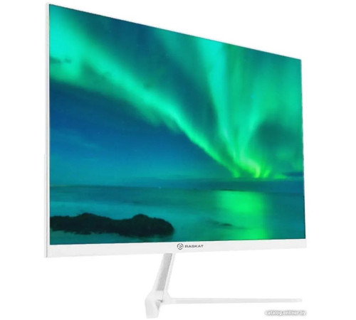 Монитор Raskat I24F10DAW