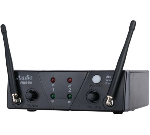 Радиосистема LAudio PRO2-MH