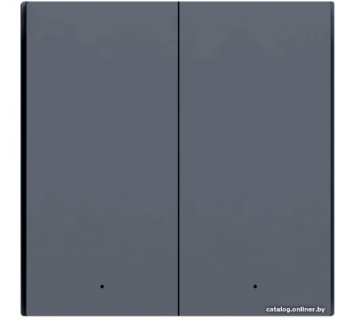 Выключатель Aqara Smart Wall Switch H1 двухклавишный без нейтрали графит