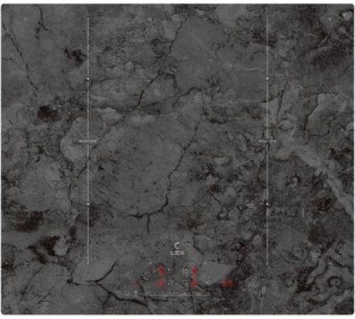 Варочная панель LEX EVI 640 F I DS