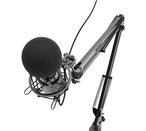 Микрофон Ritmix RDM-180