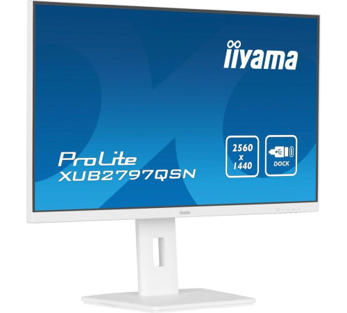 Монитор iiyama ProLite XUB2797QSN-W2