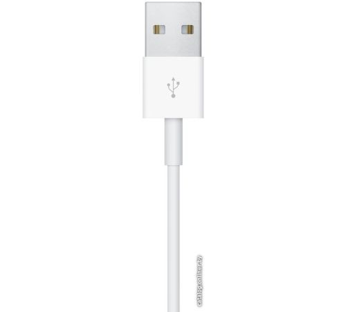 Беспроводное зарядное Apple Watch Magnetic USB Charging Cable 1 м