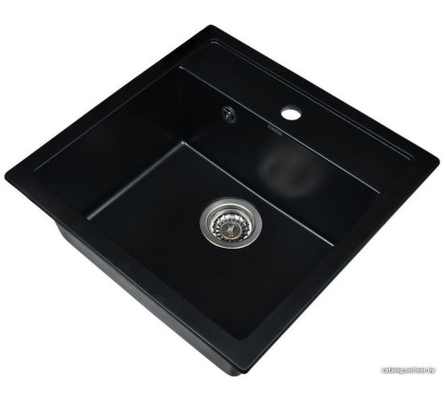 Кухонная мойка Wisent 510-26W с сифоном GER013