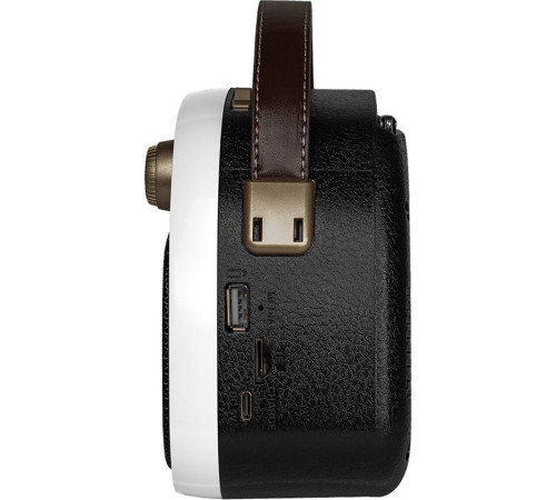 Радиоприемник Ritmix RPR-040 белый