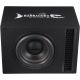 Пассивный сабвуфер + усилитель DL Audio Barracuda 12 Mesh Port