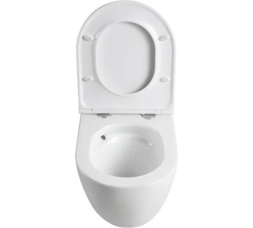 Унитаз подвесной Uptrend Caneo Rimless TR2196DF с сиденьем