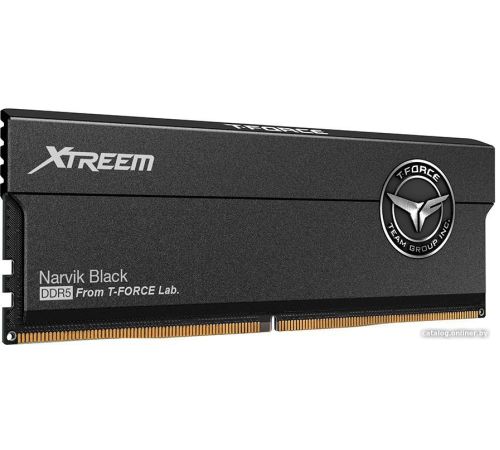Оперативная память Team T-Force Xtreem 2x16ГБ DDR5 6400 МГц FFXD532G6400HC32ADC01
