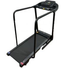 Электрическая беговая дорожка DFC Cynos T175