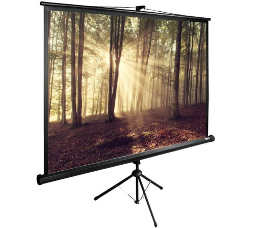 Проекционный экран CACTUS TriExpert 135x180 CS-PSTE-180X135-BK