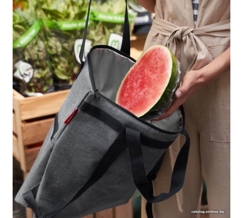 Термосумка Reisenthel Cooler-backpack 18л серебристый