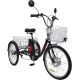 Электровелосипед AVM E-Alfa Trike 24 черный