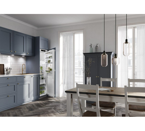 Однокамерный холодильник Liebherr IRDe 5121 Plus