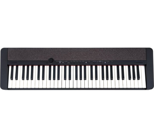 Цифровое пианино Casio CT-S1 черный