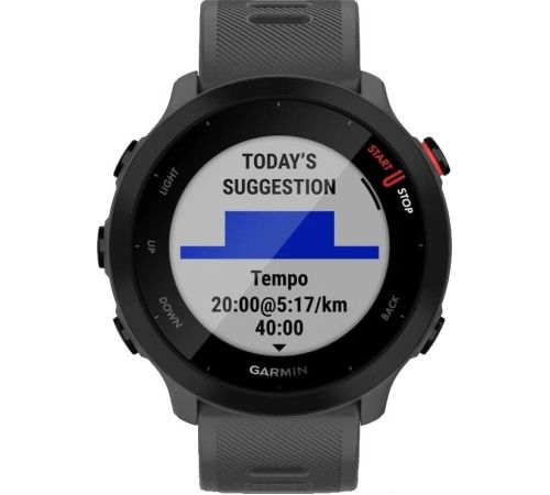 Умные часы Garmin Forerunner 55 серый
