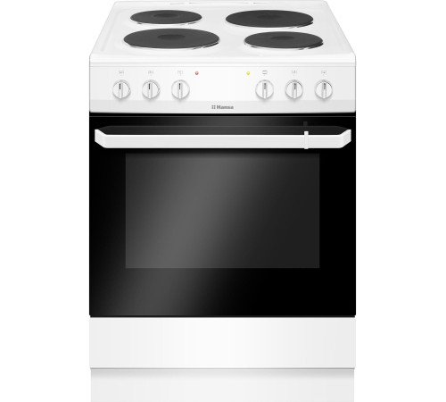 Кухонная плита Hansa FCEW66069