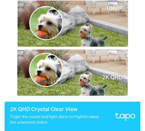 IP-камера TP-Link Tapo C420S1