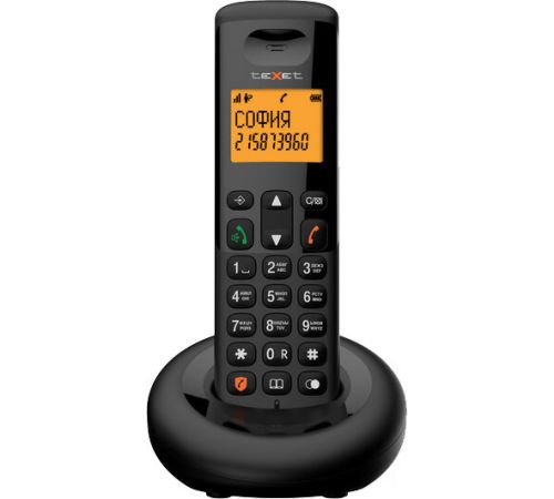 Радиотелефон TeXet TX-D4905A черный