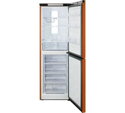 Холодильник Бирюса T940NF