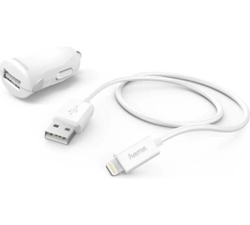 Автомобильное зарядное Hama 183266