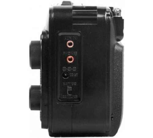 Радиоприемник Ritmix RPR-171