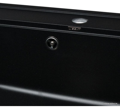 Кухонная мойка Wisent 600-25W с сифоном GER013