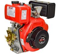 Дизельный двигатель Brait BR300DE