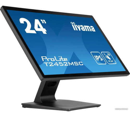 Монитор Iiyama ProLite T2452MSC-B1
