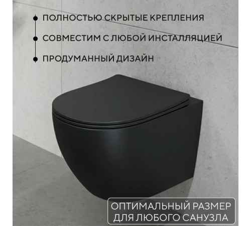 Унитаз подвесной Lauter Augsburg 21109EC + 21901001 + 219703F черный матовый с кнопкой смыва сатин