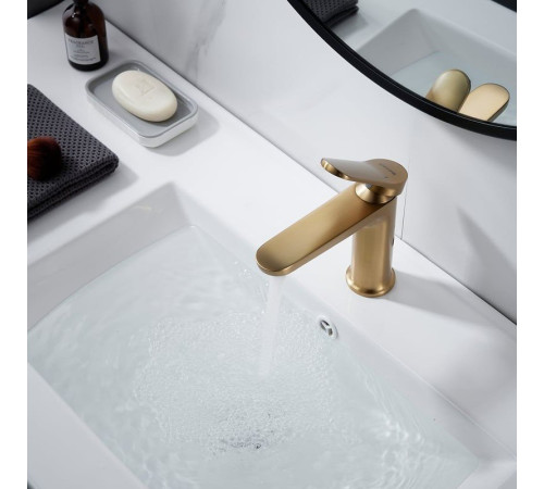 Смеситель Shevanik S4301G