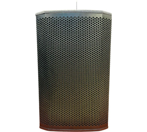 Активная акустика Acury DS15W