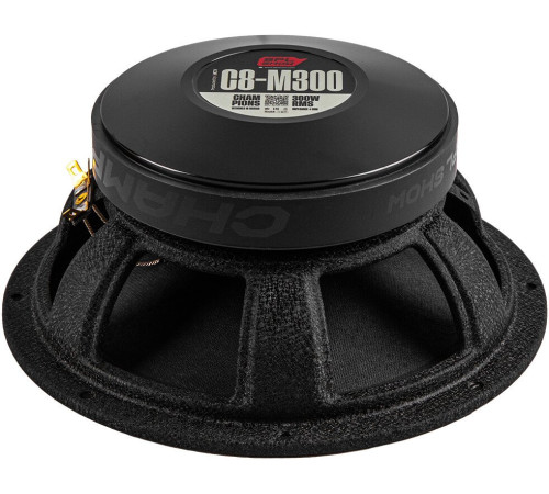 Среднечастотная АС SPL C8-M300