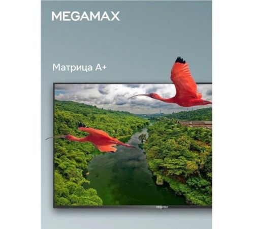 Телевизор Megamax 50MG11USM