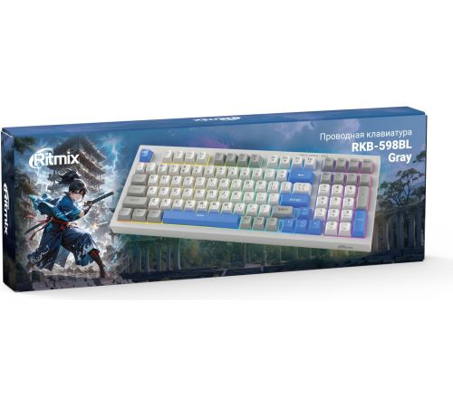 Клавиатура Ritmix RKB-598BL серый/белый